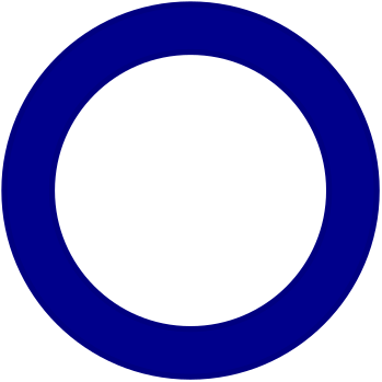 CHS-section